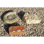 Ammonite Fossil, Quartz Geode and Steam Brick Work, Chippenham Brick