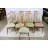 Nine Ercol Light Elm and Beech ' Goldsmith ' Dining Chairs