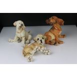 Three Country Artists ' a Breed Apart ' Dogs including Shortcake - Yellow Lab 02846, Biggles