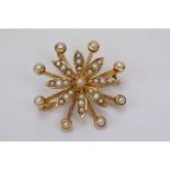 Edwardian pearl 9ct yellow gold flower head brooch, comprising thirty-three graduated cream seed