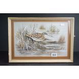 20th century watercolour of a snipe wader bird in naturalistic setting, signed