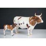 Beswick Ayrshire Bull 1454B with label together with Beswick Ayrshire Calf 1249B
