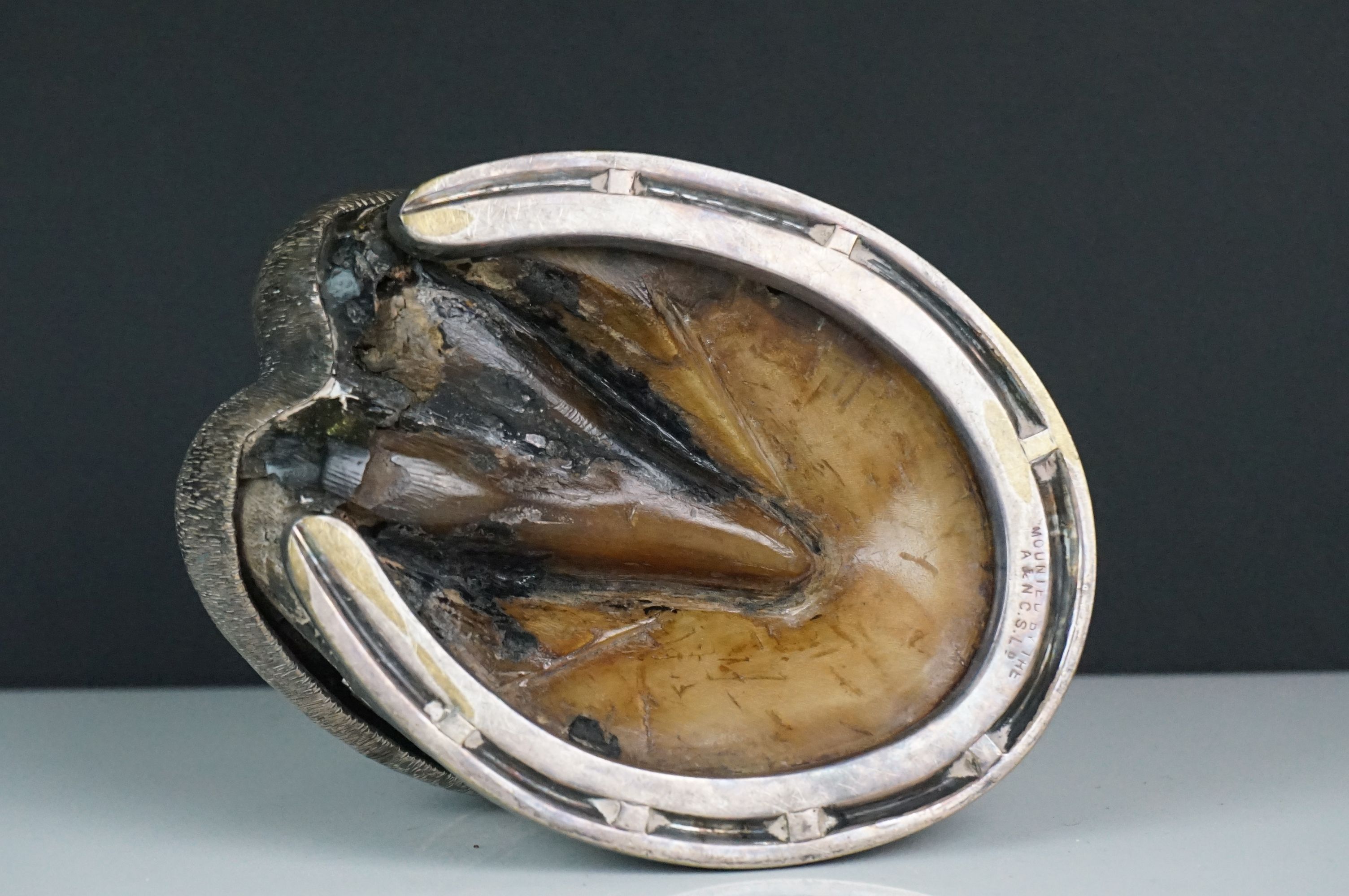 A silver plated horses hoof inkwell, engraved "The Old Mare Aged 26". - Image 6 of 7