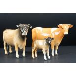 Beswick Jersey Bull Champion Dunsley Coy Boy model 1422 together with Beswick Jersey Calf model