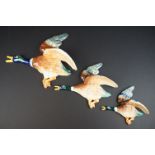 Set of Three Falcon ware Graduating Wall Plaques in the form of Ducks, largest 31cm long