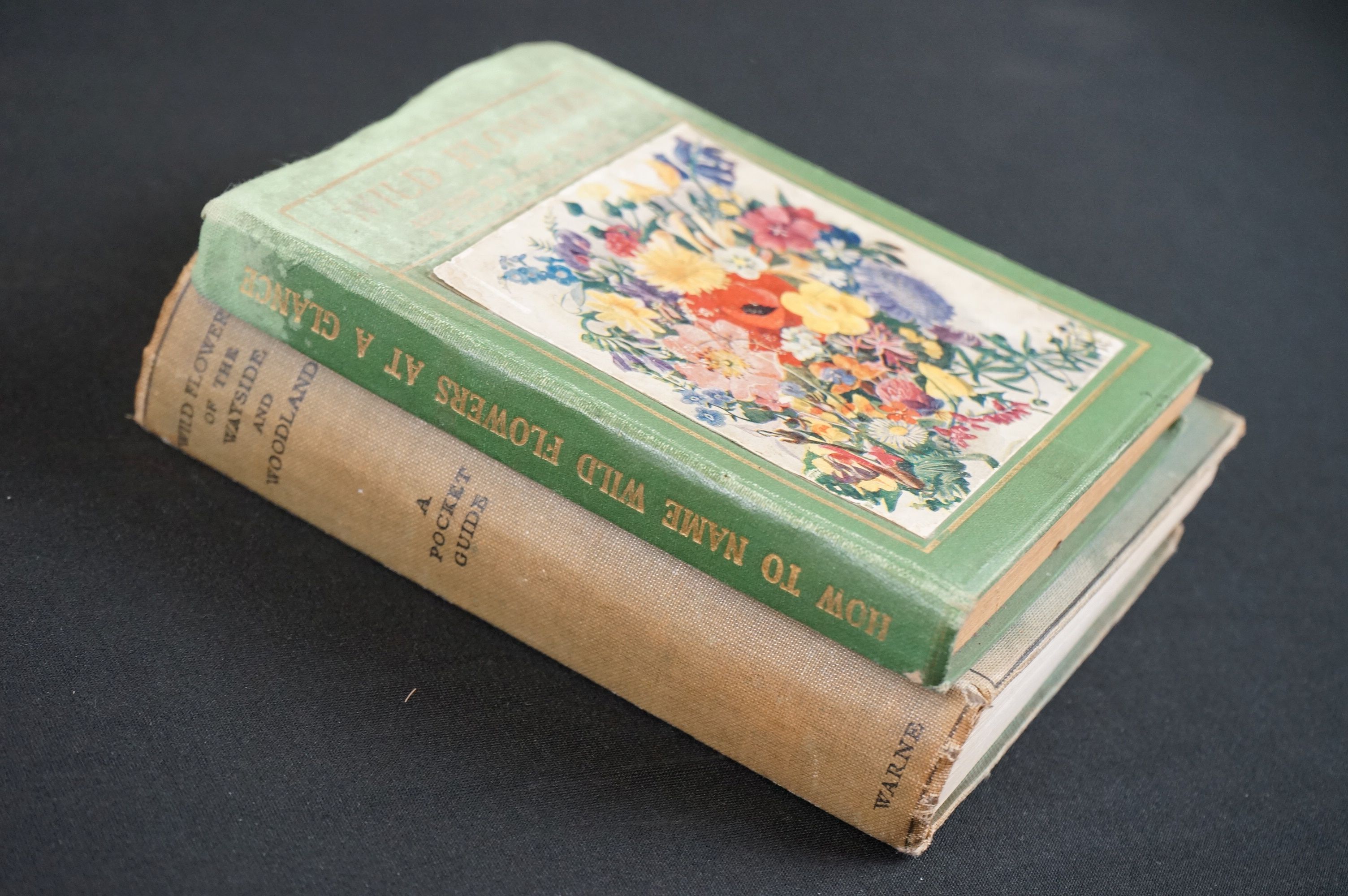 A collection of books to include the Warne pocket guide to Wild Flowers of the Wayside and Woodland, - Image 2 of 5