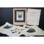 Cats A Portfolio, Drawing by Clare Turlay Newberry.