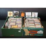 CDs - Over 260 CDs spanning the decades and genres to include Sun Ra, Suzanne Vega, Steve Earle,