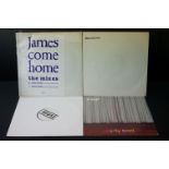 Vinyl - Indie Pop / Alternative - 4 Rare UK Promo 12? to include: James - Come Home (Andy Weatherall