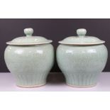 Pair of Chinese Celadon Jars and Covers, 28cm high