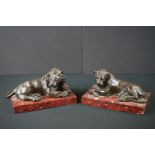 Two Bronze Recumbent Lions mounted on matching marble bases, each base 20cm wide