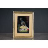 A framed and glazed feather picture of a bird.