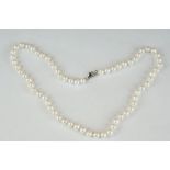 Uniform row of freshwater pearls with silver clasp