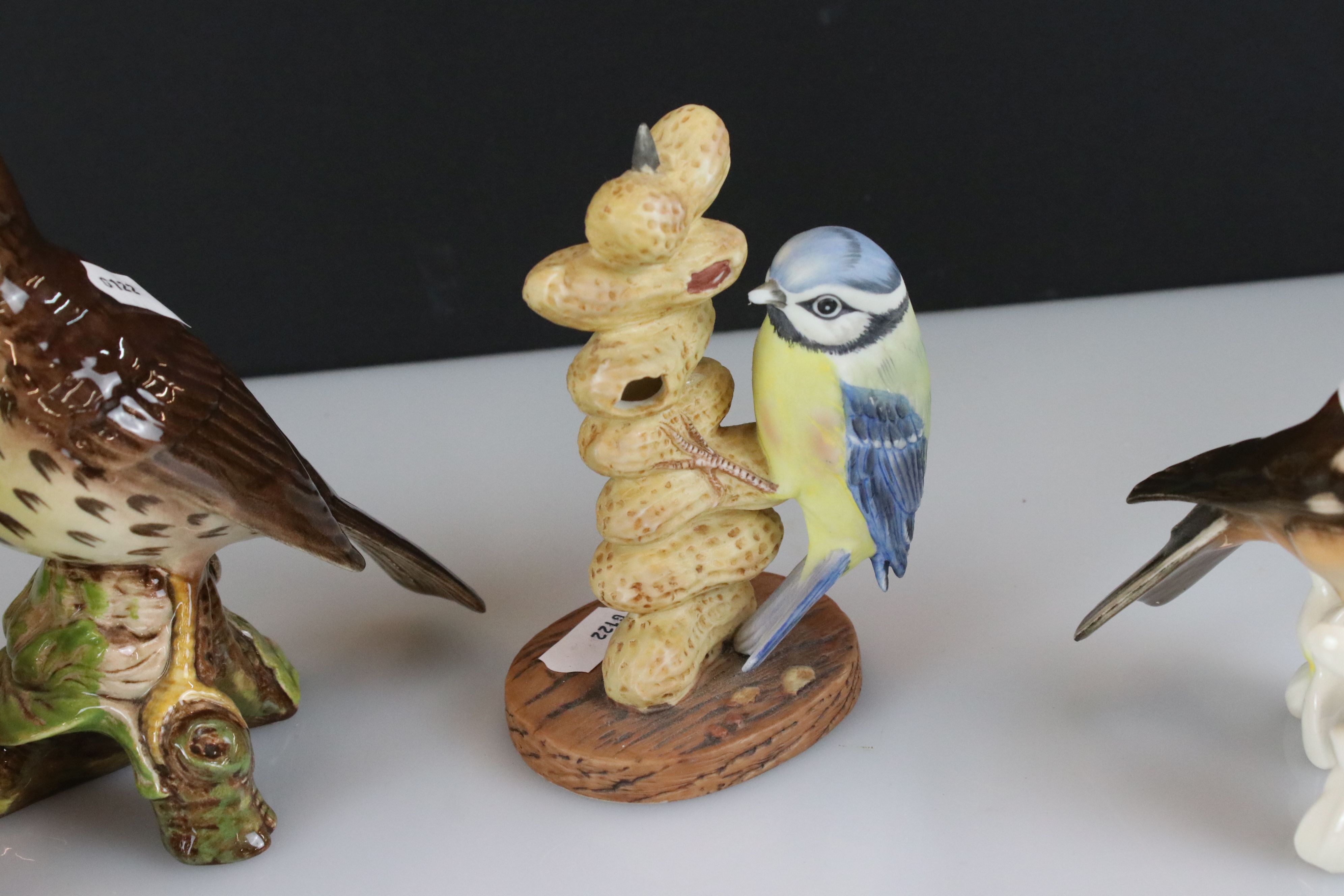 Seven porcelain bird ornaments to include a Beswick 2308 Song Thrush, Goebel Chaffinch, Raybur - Image 6 of 6