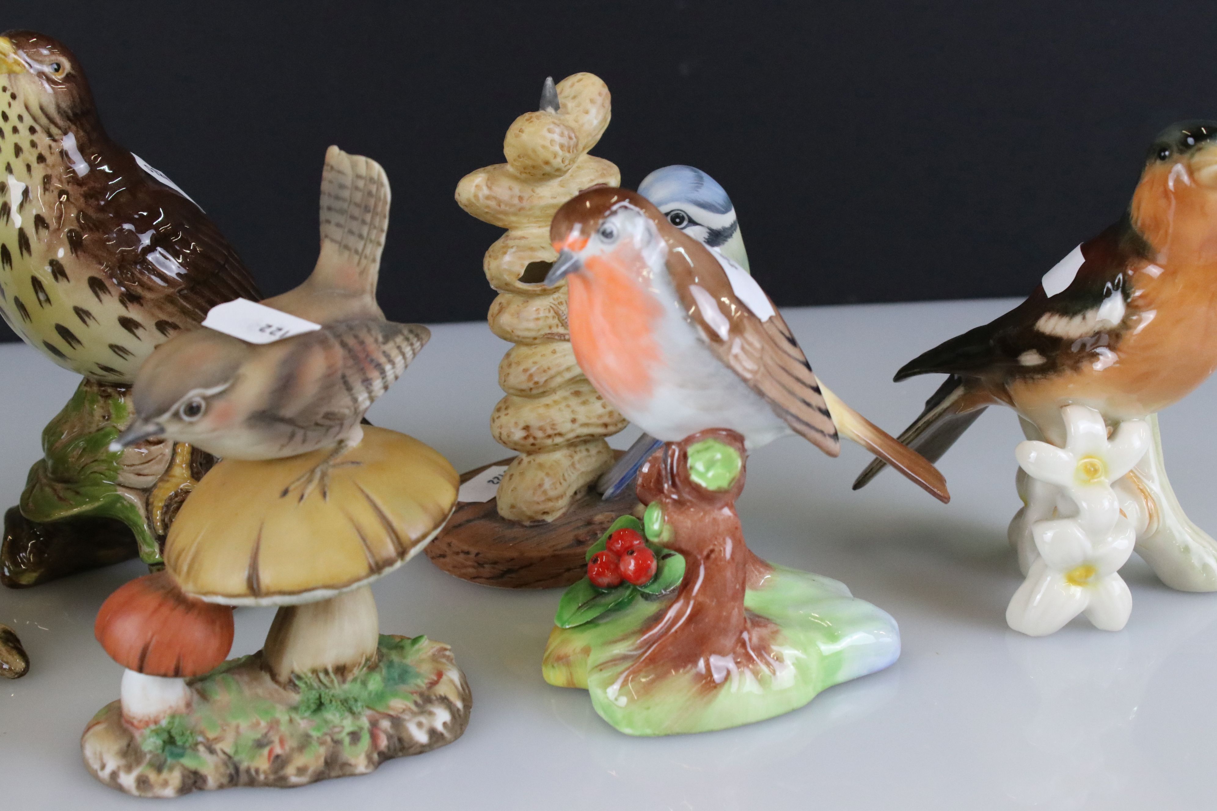 Seven porcelain bird ornaments to include a Beswick 2308 Song Thrush, Goebel Chaffinch, Raybur - Image 4 of 6