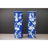 Pair of Chinese Sleeve Vases decorated with Prunus Blossom on a Blue Crackled Ice ground, four