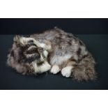Model of a Sleeping Tabby Cat covered in Cat Fur, 22cm long