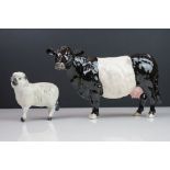 Beswick Rare Breed Belted Galloway Cow, model no. 4113A together with Beswick Sheep, model no. 935