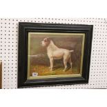 Framed oil painting study of a Jack Russell terrier