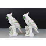 Pair of Italian ' ATN ' Ceramic Models of Parrots, 25cm high