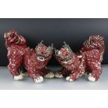 Pair of Chinese Red Glazed Pottery Figures of Dogs of Foo, 26cm high
