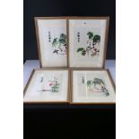 Set of Four Chinese Embroideries on Silk of Birds amongst Foliage, all signed, 30cm x 22cm, framed