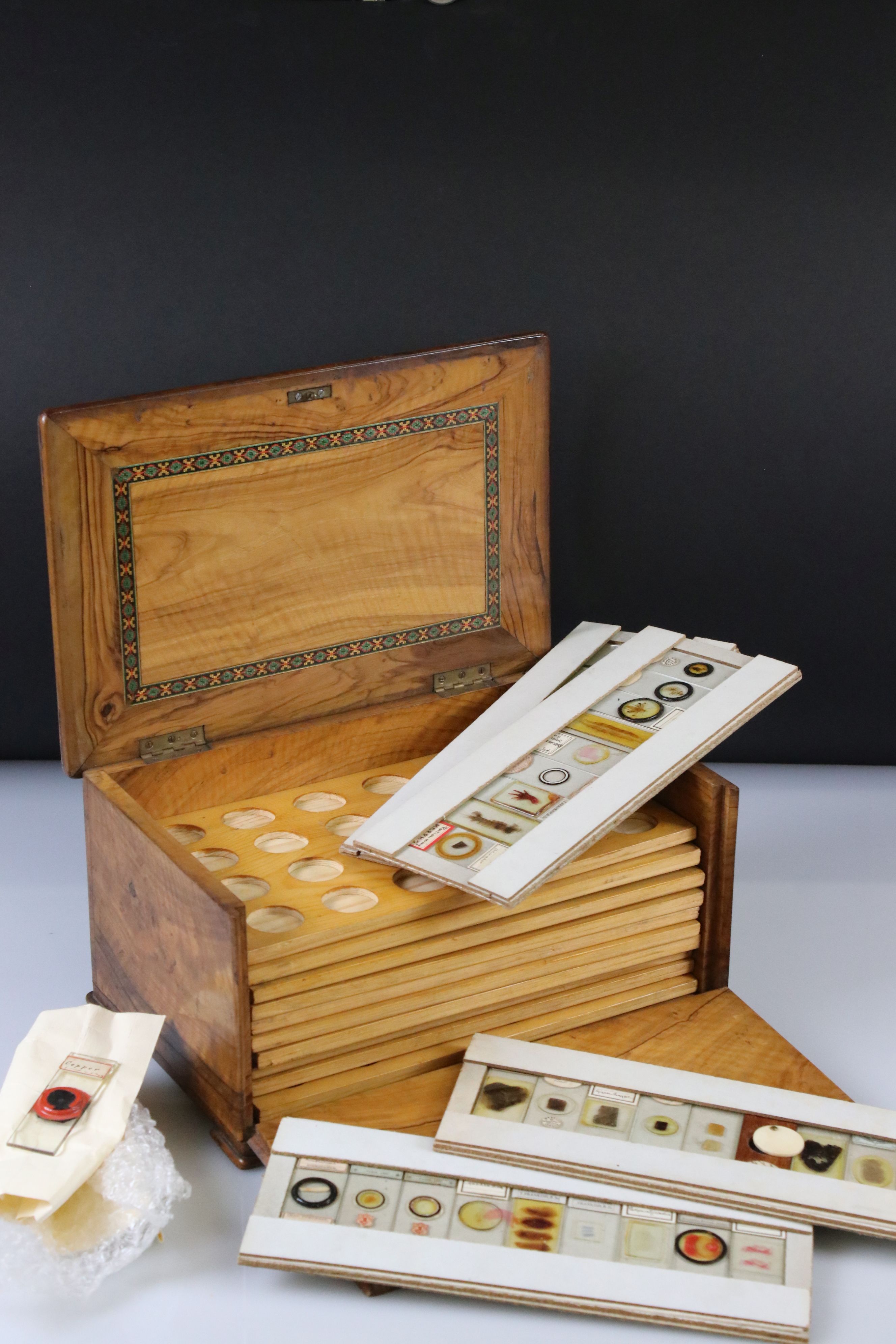 Olive wood coin collectors cabinet, together with a selection of vintage scientific slides