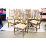 Set of Eight Ercol Dining Chairs (including two carvers) all with matching seat cushions, carver