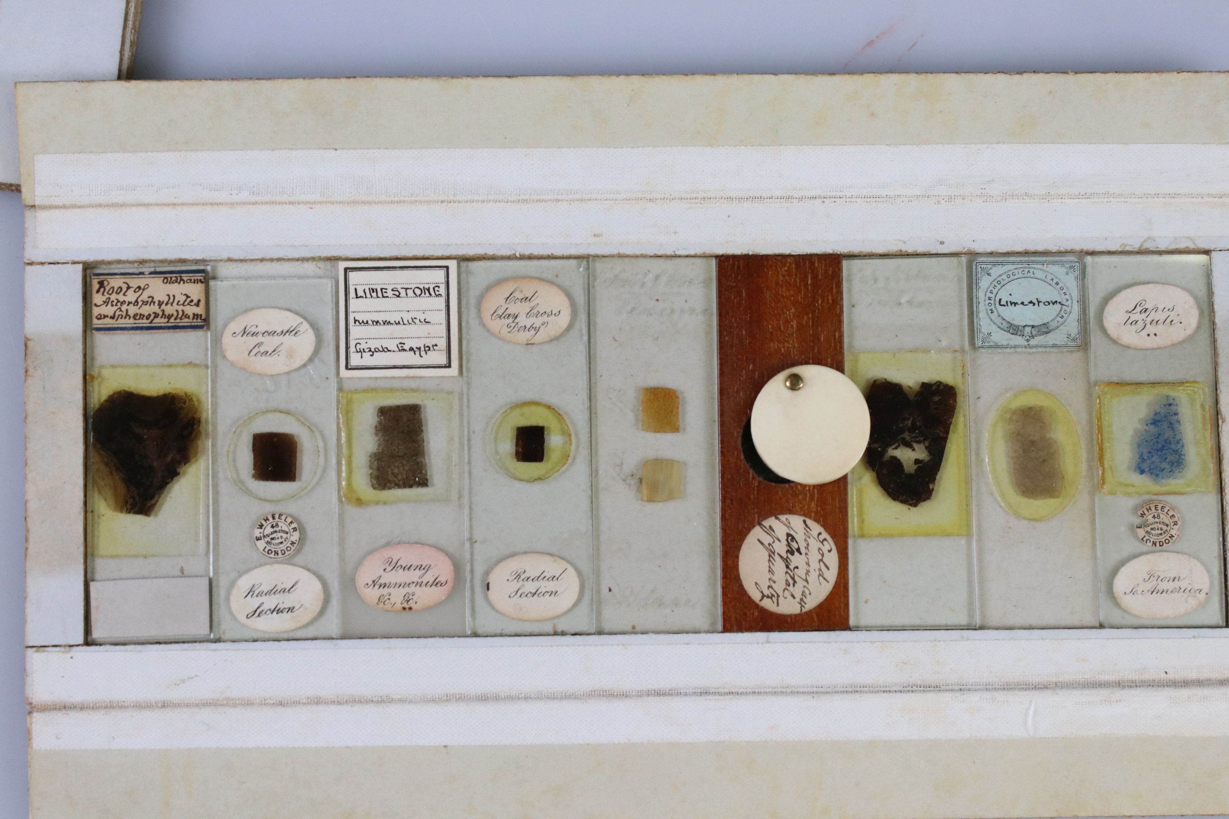 Olive wood coin collectors cabinet, together with a selection of vintage scientific slides - Image 8 of 11