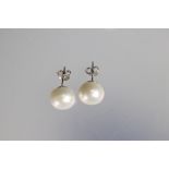 Cased pair of large freshwater pearl stud earrings