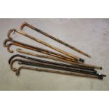 A collection of approx nine walking sticks to include a silver collard example.