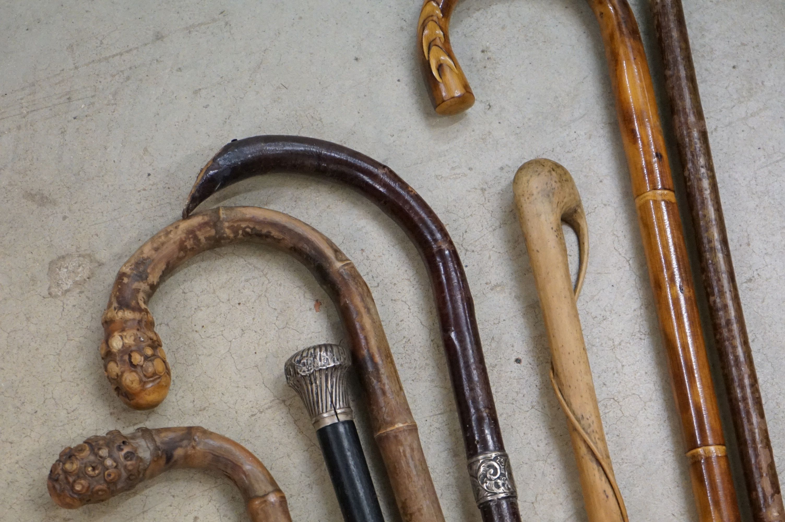 A collection of approx nine walking sticks to include a silver collard example. - Image 2 of 5