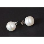 Pair of large pearl stud earrings on silver posts