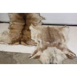 Deer Skin Rug, 120cm long x 110cm wide together with another Deer Skin mounted for wall hanging