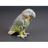 An antique cast metal money box with cold painted decoration in the form of a parrot.