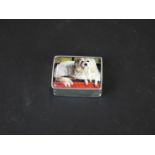 Silver pillbox with enamel lid depicting a long haired dog