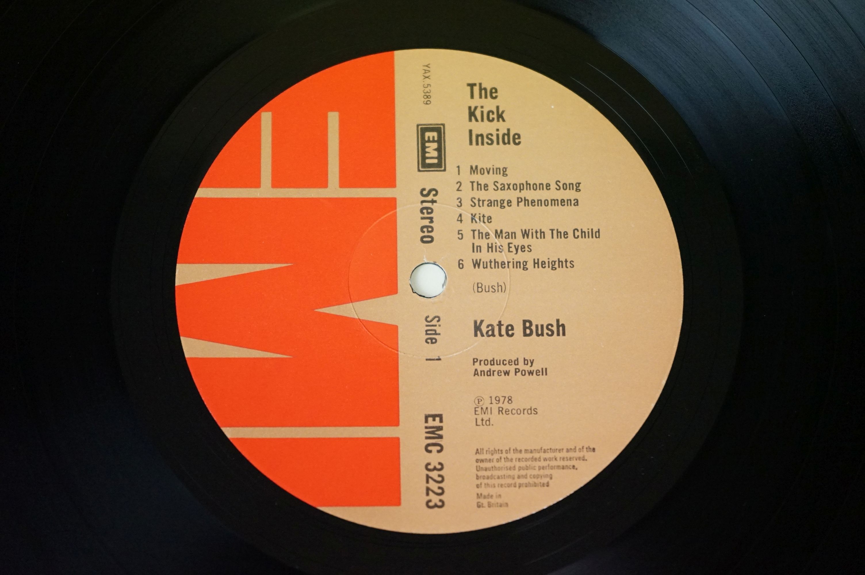 Vinyl - 2 Kate Bush LPs to include The Kick Inside (EMC 3223) and Never For Ever (EMA 794) sleeves & - Image 9 of 10