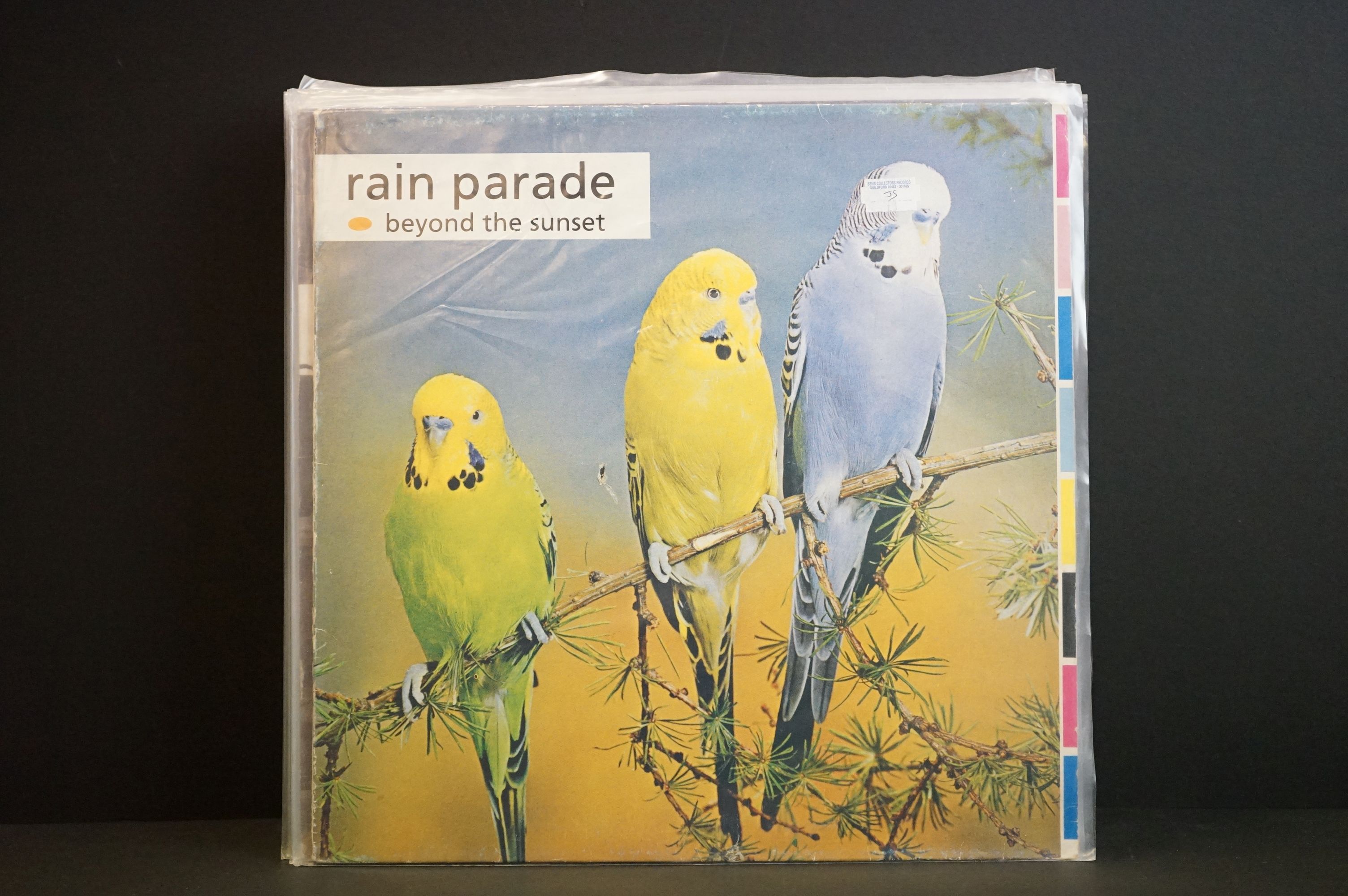 Vinyl – 19 Paisley Underground / Psych albums and 1 12” by USA bands to include Rain Parade - - Image 3 of 14
