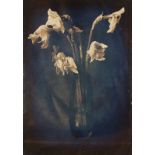 Steve CULL (British 20th Century) Shriveled Daffodils in a Vase, Black and white photograph,