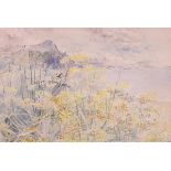 Nan HEATH (British 1922-1995) Fennel Thomas Porth, Watercolour, Signed lower right, inscribed and