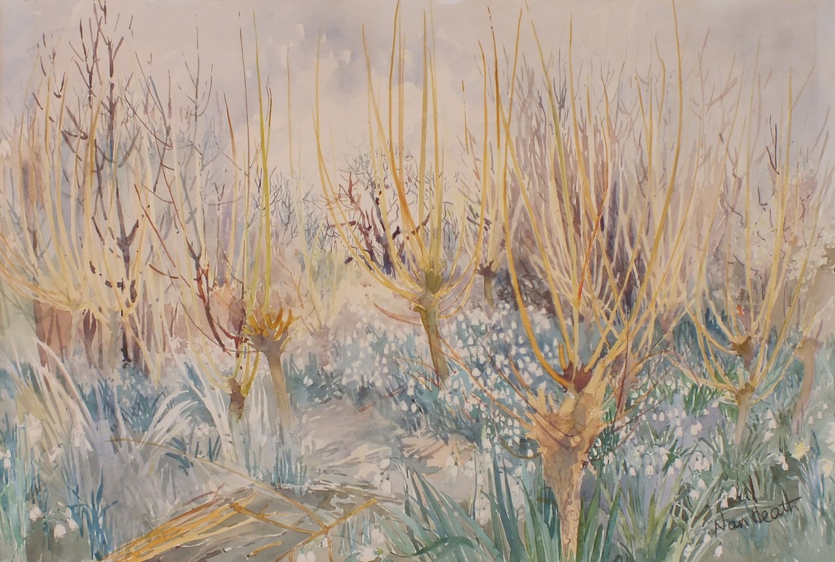 Nan Heath (British 1922-1995) Snowflakes (sic) & Withies, Watercolour, Signed lower right, inscribed