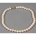 A string of freshwater pearls, of uniform dimensions with a 9ct gold clasp, 44cm long