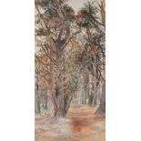 Nan HEATH (British 1922-1995) Holy Vale Pines, Watercolour, Signed lower right, inscribed with