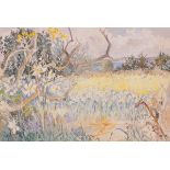 Nan HEATH (British 1922-1995) Daffodil Field Trenoweth, Watercolour, Signed lower left, inscribed