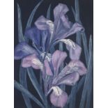 Elvic STEELE (British 1920-1997) Violet Iris, Oil on paper, Inscribed verso, 9.5" x 7" (24cm x18cm)