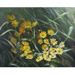 Mary DIPNALL (British b. 1936) Marsh Marigolds, Oil on canvas, Signed lower right, 15.25" x 19.