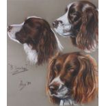 ACE (British 20th/21st Century) 3 Smarties - (Spaniels), Pastel on coloured paper, Signed titled and