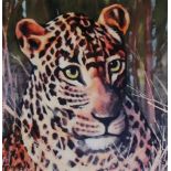 David GAINFORD (British b. 1941) Leopard, Coloured print, Signed lower left, 11.25" x 11.25" (28cm x