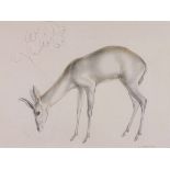 John SKEAPING (British 1901-1980), Study of a buck, lithograph, signed (within the plate) lower