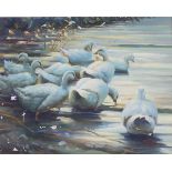JOCK (British 20th/21st Century) A Flock of Ducks on a Lake, Oil on canvas, Signed lower right, 7.5"